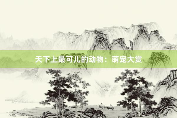 天下上最可儿的动物：萌宠大赏