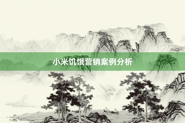 小米饥饿营销案例分析